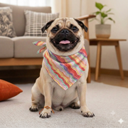 Kota Doriya Leheriya Print Scarf for Pets