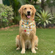 Organic Cotton Bears Print Scarf for Pets (Peach)