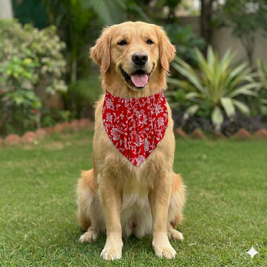 Organic Cotton Red Floral Scarf for Pets