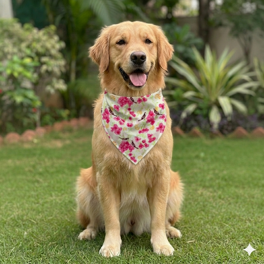 Organic Cotton Sparrow Print Scarf for Pets