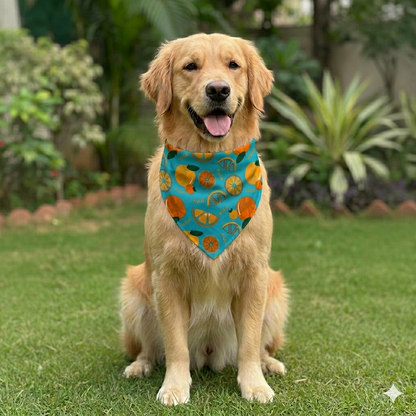 Organic Cotton Dancing Oranges Scarf for Pets