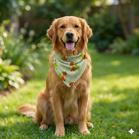 Organic Cotton Dogs Print Scarf for Pets