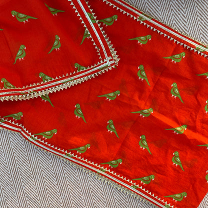 Organic Cotton 'Goddess Ambika' Lehenga Choli with Dupatta